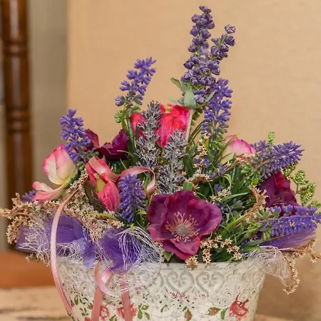 Silva מאקרסקה